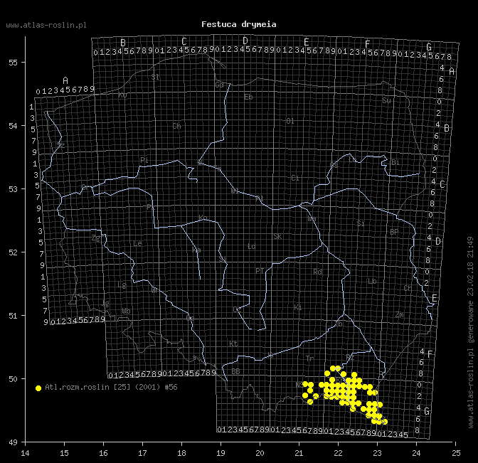 wystepowanie - Festuca drymeia (kostrzewa górska)