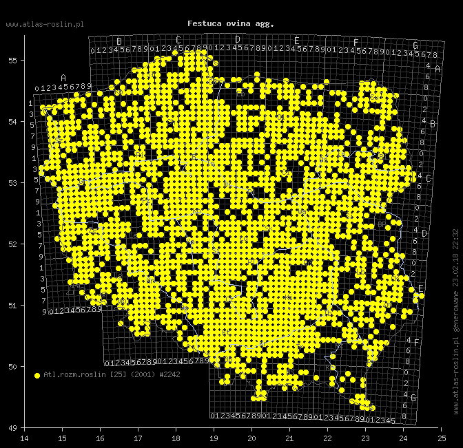 wystepowanie - Festuca ovina agg. (kostrzewa owcza agg.)