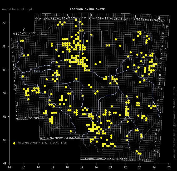 wystepowanie - Festuca ovina s.str. (kostrzewa owcza (s.str.))