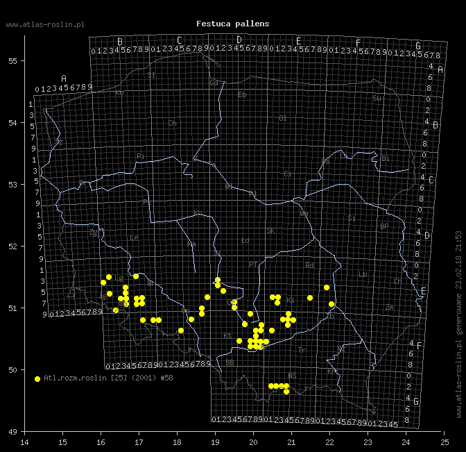 wystepowanie - Festuca pallens (kostrzewa blada)