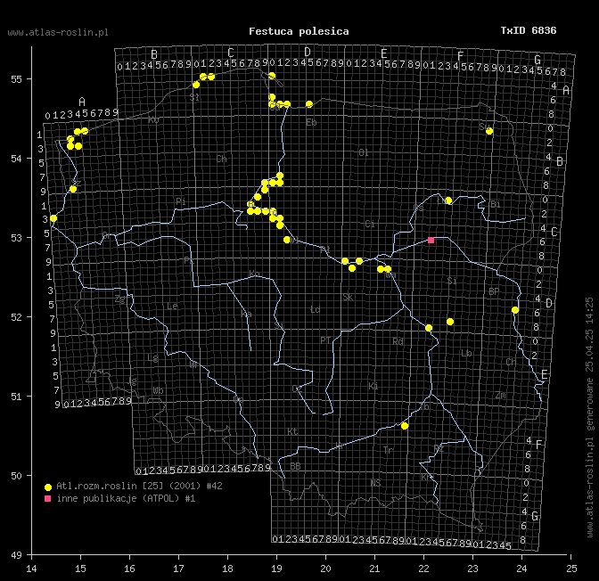 wystepowanie - Festuca polesica (kostrzewa poleska)