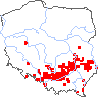 wystepowanie - Festuca rupicola (kostrzewa bruzdkowana)