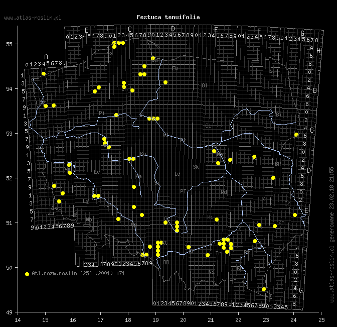 wystepowanie - Festuca tenuifolia (kostrzewa nitkowata)