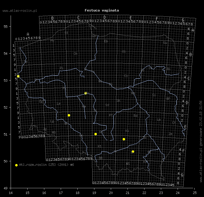 wystepowanie - Festuca vaginata (kostrzewa pochwiasta)