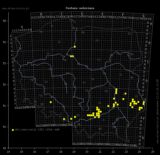 wystepowanie - Festuca valesiaca (kostrzewa walezyjska)