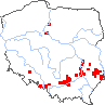 wystepowanie - Festuca valesiaca (kostrzewa walezyjska)