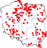 wystepowanie - Catabrosa aquatica (brodobrzanka wodna)