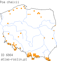 wystepowanie - Poa chaixii (wiechlina Chaixa)