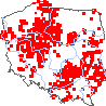 wystepowanie - Poa angustifolia (wiechlina wąskolistna)