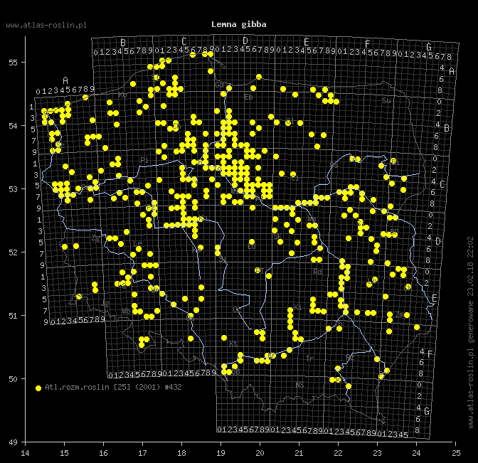wystepowanie - Lemna gibba (rzęsa garbata)