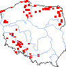 wystepowanie - Sparganium neglectum (jeżogłówka zapoznana)