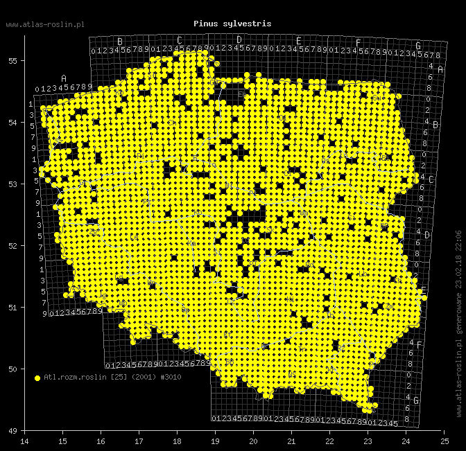 wystepowanie - Pinus sylvestris (sosna zwyczajna)
