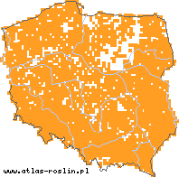 wystepowanie - Carpinus betulus (grab pospolity)