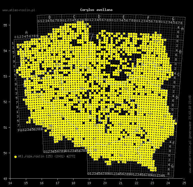 wystepowanie - Corylus avellana (leszczyna pospolita)