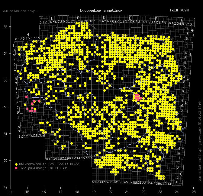 wystepowanie - Lycopodium annotinum (widłak jałowcowaty)