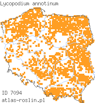 wystepowanie - Lycopodium annotinum (widłak jałowcowaty)