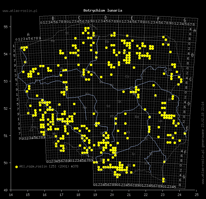 wystepowanie - Botrychium lunaria (podejźrzon księżycowy)