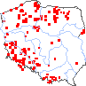 wystepowanie - Botrychium matricariifolium (podejźrzon marunowy)