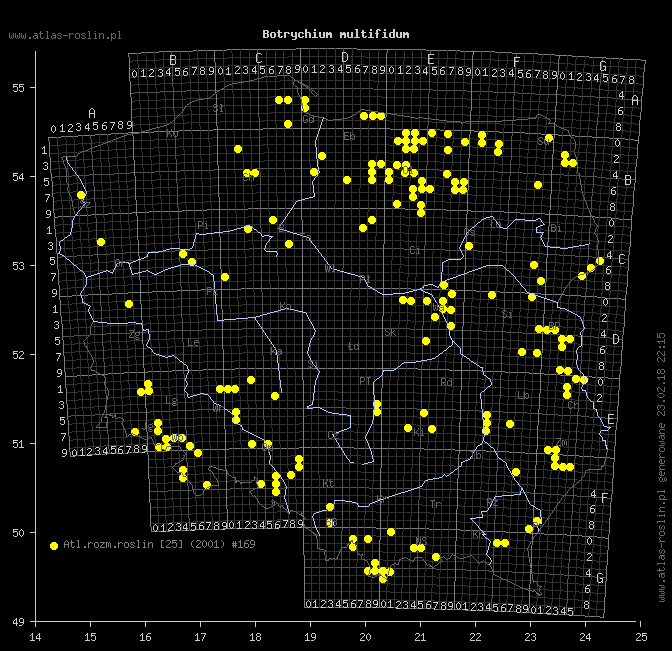 wystepowanie - Botrychium multifidum (podejźrzon rutolistny)