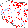 wystepowanie - Botrychium multifidum (podejźrzon rutolistny)