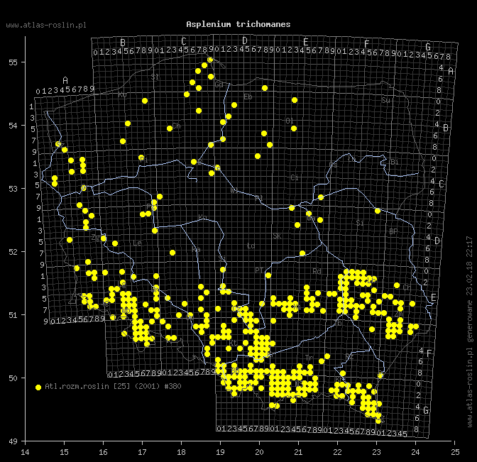 wystepowanie - Asplenium trichomanes (zanokcica skalna)