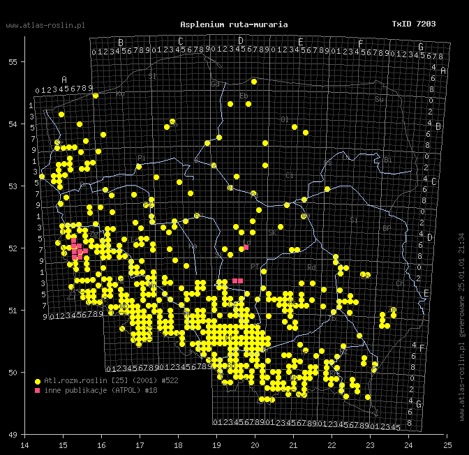 wystepowanie - Asplenium ruta-muraria (zanokcica murowa)
