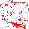 wystepowanie - Matteuccia struthiopteris (pióropusznik strusi)