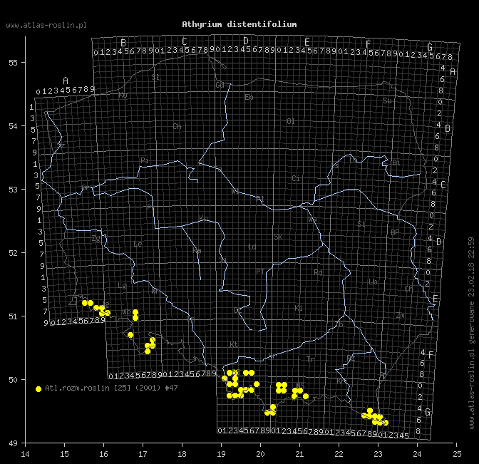 wystepowanie - Athyrium distentifolium (wietlica alpejska)
