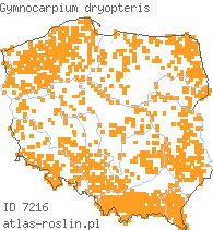 wystepowanie - Gymnocarpium dryopteris (cienistka trójkątna)