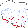 wystepowanie - Polystichum lonchitis (paprotnik ostry)