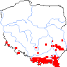 wystepowanie - Polystichum braunii (paprotnik Brauna)