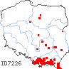 wystepowanie - Dryopteris affinis agg. (nerecznica mocna agg.)