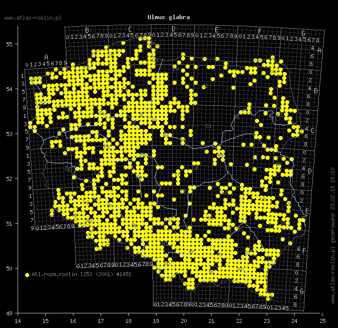 wystepowanie - Ulmus glabra (wiąz górski)