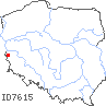 wystepowanie - Leonurus cardiaca ssp. cardiaca (serdecznik pospolity typowy)