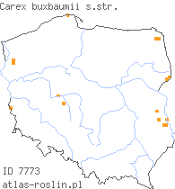 wystepowanie - Carex buxbaumii (turzyca Buxbauma)