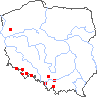 wystepowanie - Koenigia polystachya (rdest wielokłosowy)