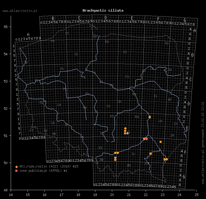 wystepowanie - Brachyactis ciliata (astrowiec orzęsiony)