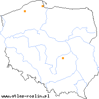 wystepowanie - Potamogeton ×undulatus (rdestnica fałdowana)