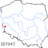 wystepowanie - Hierochloe repens (turówka rozłogowa)