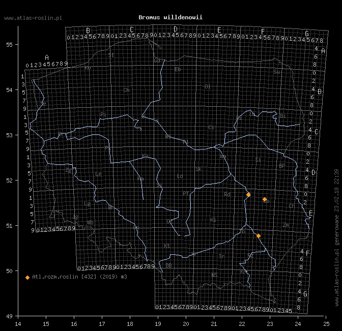 wystepowanie - Bromus willdenowii (stokłosa obiedkowata)