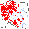 wystepowanie - Petrorhagia prolifera (goździcznik wycięty)