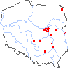 wystepowanie - Silene borysthenica (lepnica drobnokwiatowa)