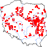 wystepowanie - Silene chlorantha (lepnica zielonawa)