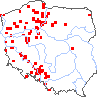 wystepowanie - Silene conica (lepnica smukła)