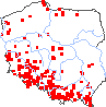 wystepowanie - Silene gallica (lepnica francuska)