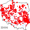 wystepowanie - Silene otites (lepnica wąskopłatkowa)