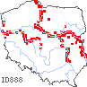 wystepowanie - Silene tatarica (lepnica tatarska)