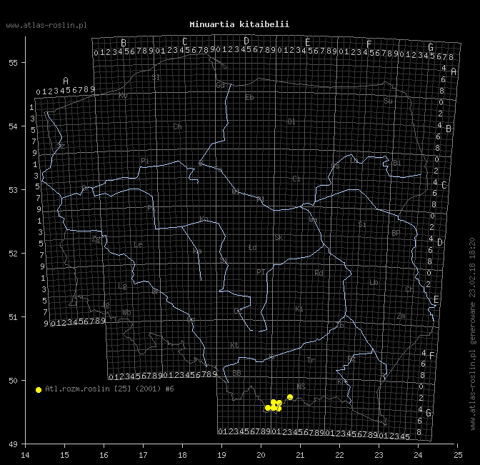 wystepowanie - Minuartia kitaibelii (mokrzyca Kitaibela)