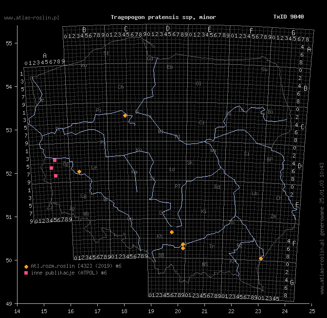 wystepowanie - Tragopogon pratensis ssp. minor (kozibród łąkowy mniejszy)