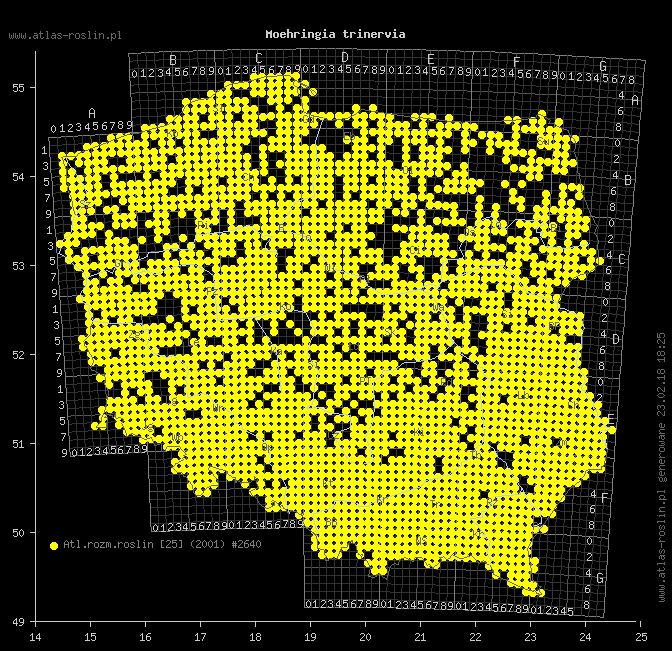 wystepowanie - Moehringia trinervia (możylinek trójnerwowy)